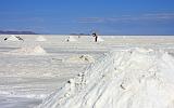 BOLIVIA 2 - Salar de Uyuni - 85